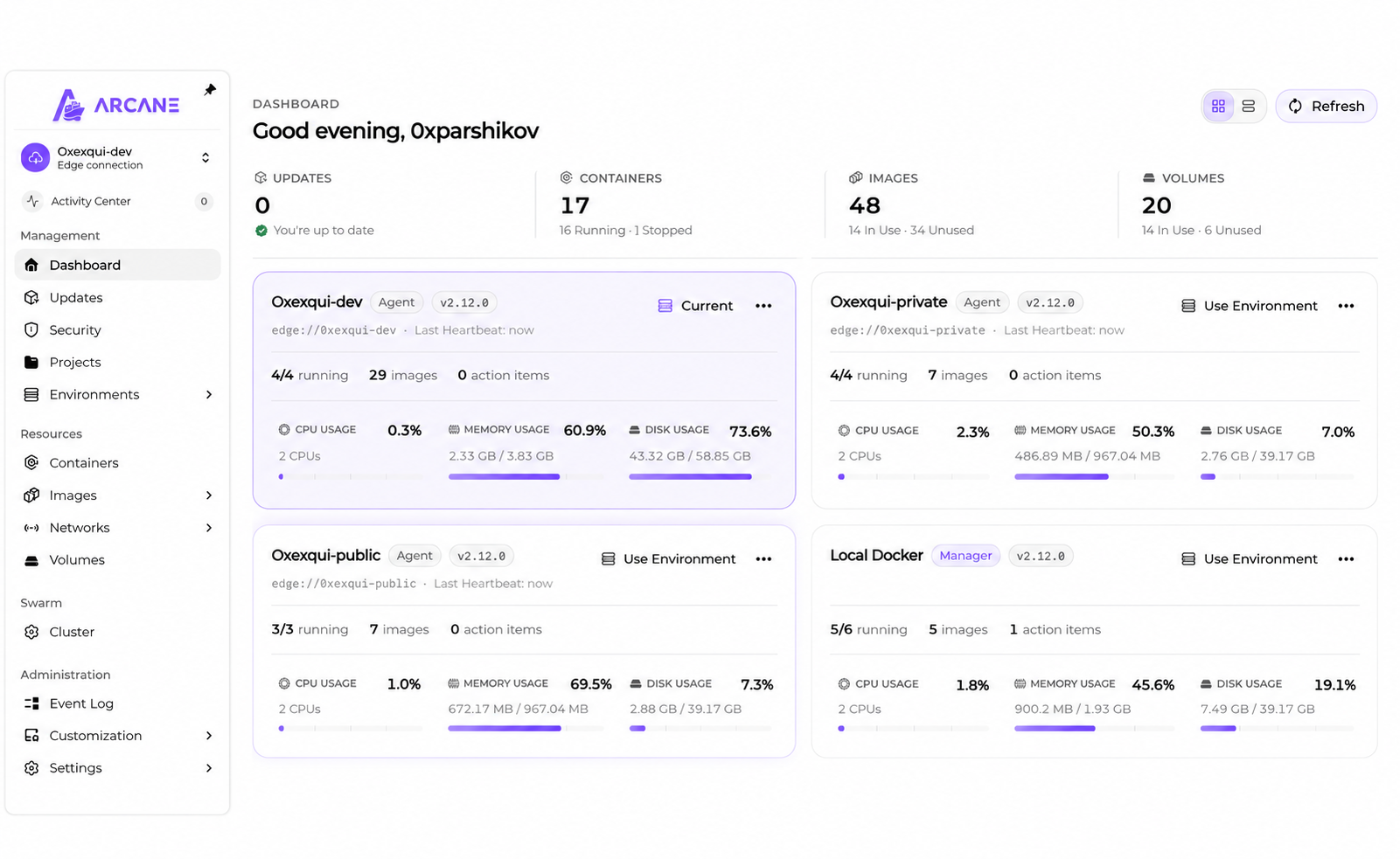 Снимок Arcane: контейнерные окружения Dev, Private и Public